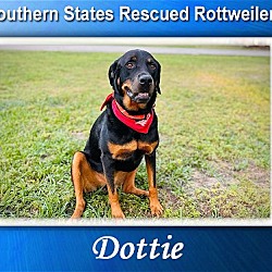 Thumbnail photo of Dottie #1