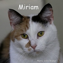 Thumbnail photo of Miriam #1