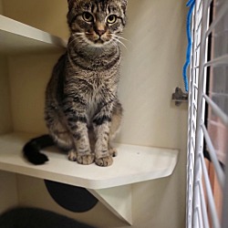 Photo of Tunker