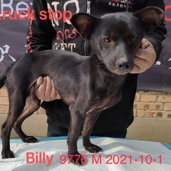 Photo of Billy 9776