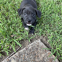 Photo of JACK