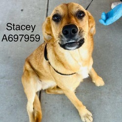 Thumbnail photo of Stacey #3