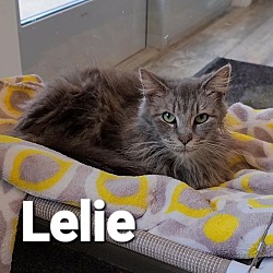 Photo of Lelie