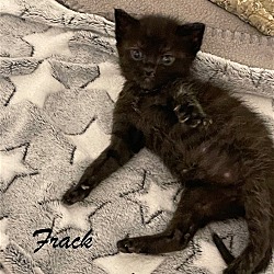 Photo of Frack