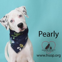 Thumbnail photo of Pearly #2