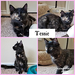 Photo of Tessie