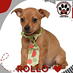 Thumbnail photo of ROLLO #1