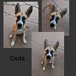 Photo of Coda
