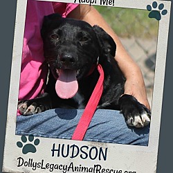 Thumbnail photo of HUDSON #1