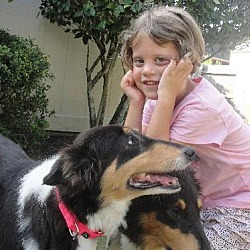 Thumbnail photo of Ringo *New* 7 or 8 years old #3
