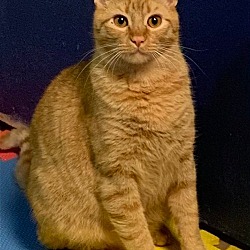 Photo of Casey