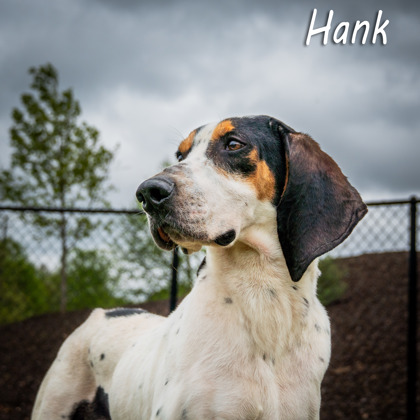 Photo of C3   Hank