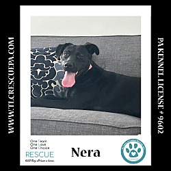 Thumbnail photo of Nera 082424 #2