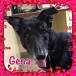 Photo of GENA