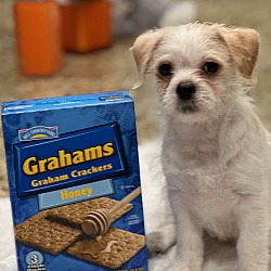 Thumbnail photo of Grahams (located in CT) #3