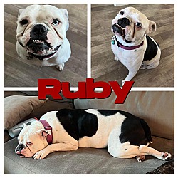 Photo of Ruby