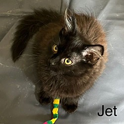 Thumbnail photo of Jet #2