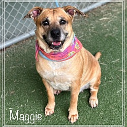 Thumbnail photo of MAGGIE - see video #1