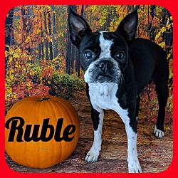 Thumbnail photo of Ruble #3