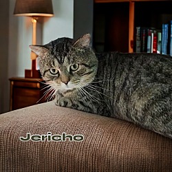 Photo of Jericho