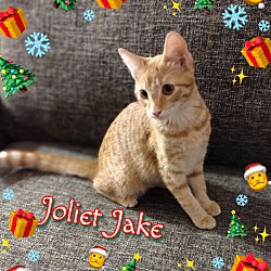 Thumbnail photo of Joliet Jake #4
