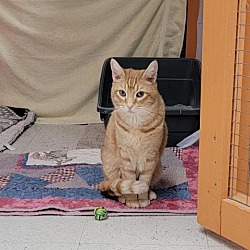 Photo of Oliver