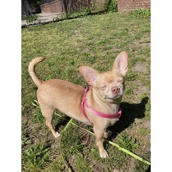 Photo of ZILLAH