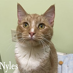 Photo of Nyles