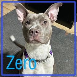 Thumbnail photo of Zero #4