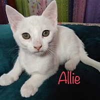 Photo of Allie