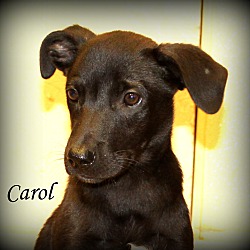 Thumbnail photo of Carol Ann ~ meet me! #3