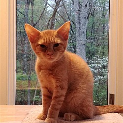 Photo of Ricky