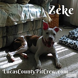 Thumbnail photo of Zeke #3