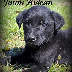 Thumbnail photo of Jason Aldean ~ meet me! #1
