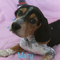 Photo of MARY