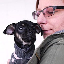 Thumbnail photo of Espresso-Adopted!! #2