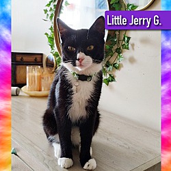 Thumbnail photo of Little Jerry G #3