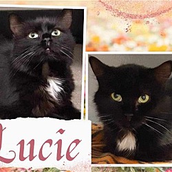 Thumbnail photo of Lucie #1