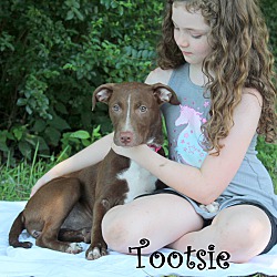 Thumbnail photo of Tootsie ~ meet me! #2