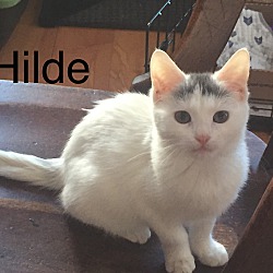 Photo of Hilde