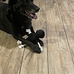 Photo of Rosie