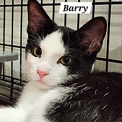 Thumbnail photo of Barry #1