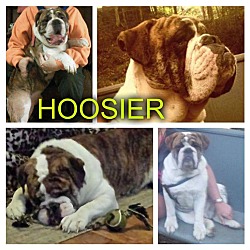 Thumbnail photo of HOOSIER #4