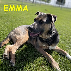 Thumbnail photo of EMMA #1
