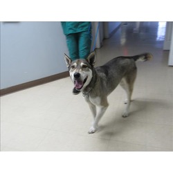Photo of SPIKE