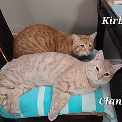 Thumbnail photo of Kirby & Clancy #3