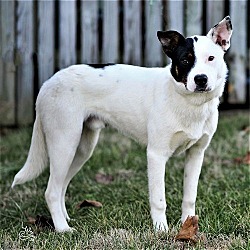 Photo of QUINCY