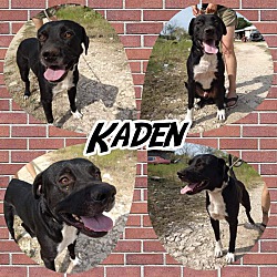 Thumbnail photo of Kaden #3