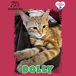 Photo of Dolly 2.0