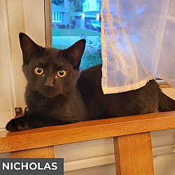 Photo of Nicholas (Nicky)